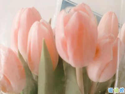 母親節(jié)微信小句子帶圖片 為媽媽慶祝母親節(jié)的經(jīng)典說說5