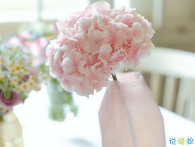 母親節(jié)微信小句子帶圖片 為媽媽慶祝母親節(jié)的經(jīng)典說說1