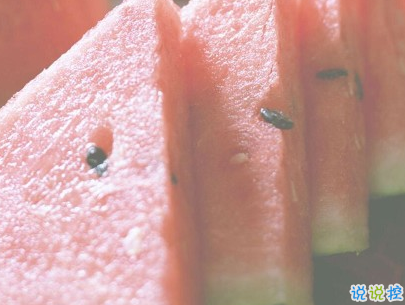 適合夏天的短句說(shuō)說(shuō)帶圖片 2020夏天的味道心情短語(yǔ)14