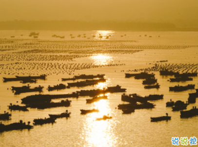 適合夏天的短句說(shuō)說(shuō)帶圖片 2020夏天的味道心情短語(yǔ)4