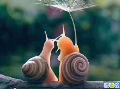 520情人節(jié)甜句子帶圖片 520最暖心情話20206