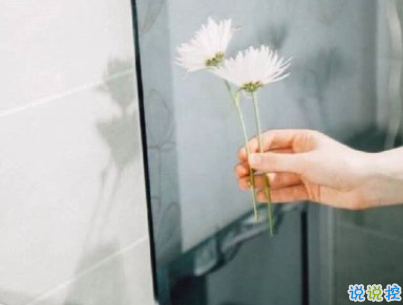 520情人節(jié)甜句子帶圖片 520最暖心情話20209