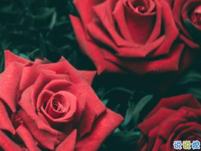 情侶520秀恩愛短句 2020年5月20日情侶甜蜜說說2