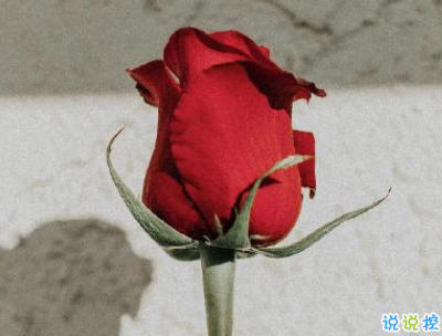 情侶520秀恩愛短句 2020年5月20日情侶甜蜜說說1