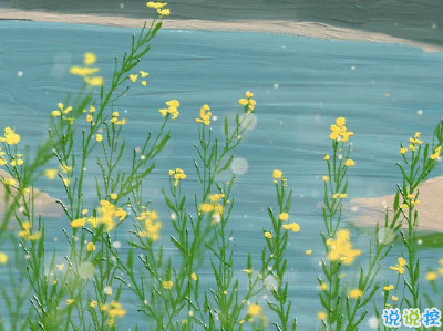 520愛情說說可愛撩人帶圖片 2020年520表達(dá)愛意的句子11