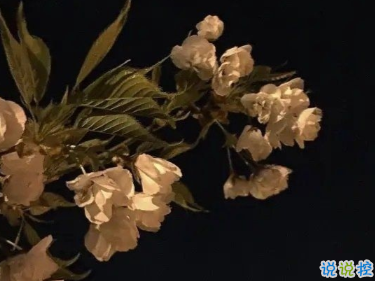 對男朋友失望心涼的說說 對這段感情失望的傷心句子2