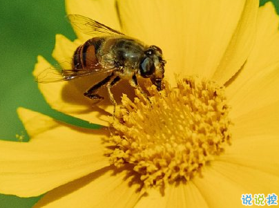 早安勵志語錄致自己配圖 15條讓人充滿能量的語錄8