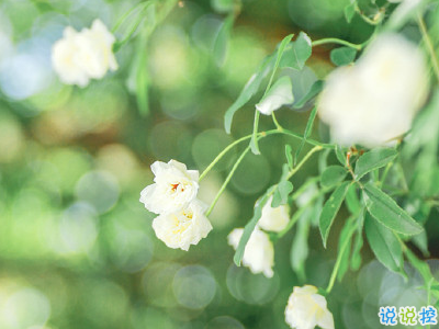 早安勵志語錄致自己配圖 15條讓人充滿能量的語錄14