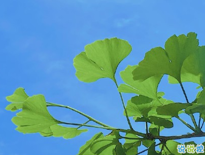 早安勵志語錄致自己配圖 15條讓人充滿能量的語錄7