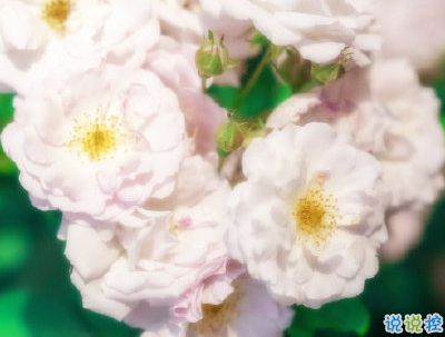 早安勵志語錄致自己配圖 15條讓人充滿能量的語錄6