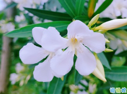 早安勵志語錄致自己配圖 15條讓人充滿能量的語錄3