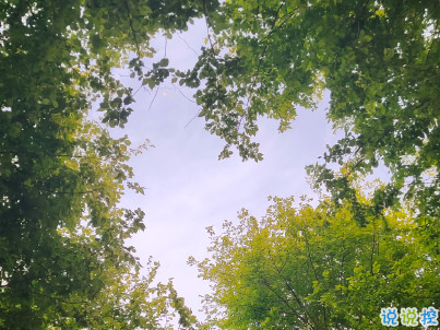 早安勵志語錄致自己配圖 15條讓人充滿能量的語錄1