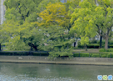 朋友圈愛情句子簡單大方 只為一人終其一生2