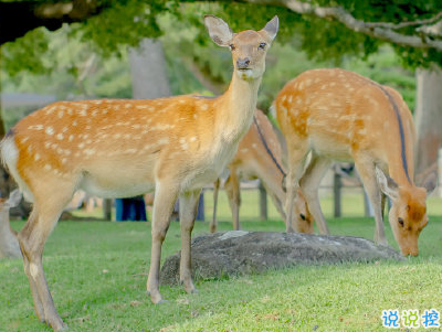 朋友圈愛情句子簡單大方 只為一人終其一生1
