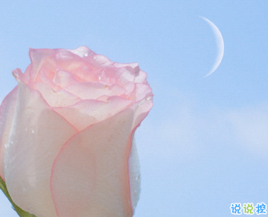 有哲理的句子勵(lì)志精辟 努力是會(huì)上癮的1