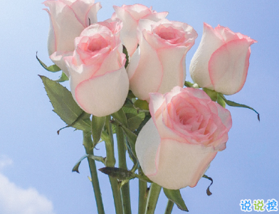 有哲理的句子勵(lì)志精辟 努力是會(huì)上癮的2