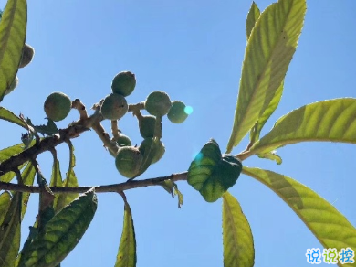 最火愛情英文短句帶翻譯 你穩(wěn)穩(wěn)的住在我心底2