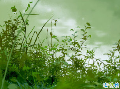 戀愛中哪些道理很俗卻很對 男女必須懂的的經典愛情語錄2