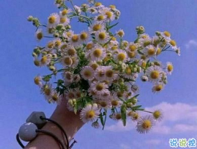 戀愛朋友圈文案 非常唯美好聽的戀愛說說1