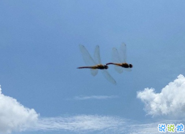 比較喪的朋友圈文案 超級傷感的心情說說1