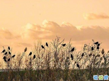 比較喪的朋友圈文案 超級傷感的心情說說2