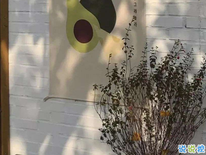 心情低落的傷感句子帶圖片 是自己太自作多情了9