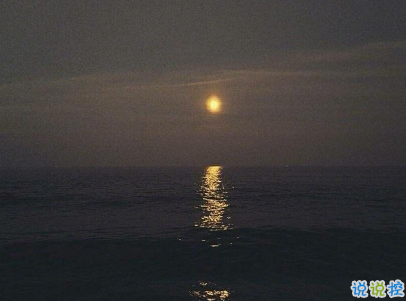 心情低落的傷感句子帶圖片 是自己太自作多情了10