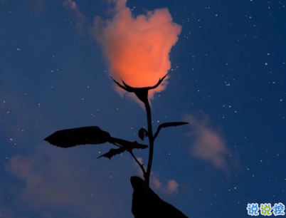 心情低落的傷感句子帶圖片 是自己太自作多情了1