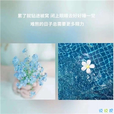 朋友圈心情感悟帶圖片 總有一句適合你溫柔文案5