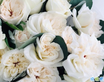 521情話句子大全 很甜很酥的521說說20201