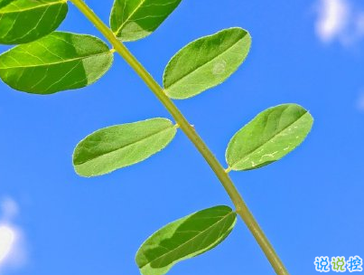 六月微信第一條早安說說 2020迎接6月的早安句子配圖10