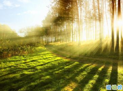 六月微信第一條早安說說 2020迎接6月的早安句子配圖8