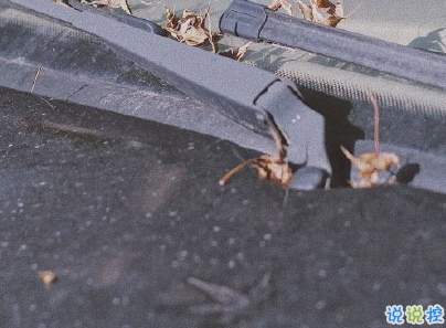 身心疲憊的說說帶圖片 一個人感到心累的句子2