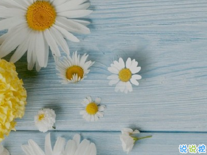 身心疲憊的說說帶圖片 一個人感到心累的句子13