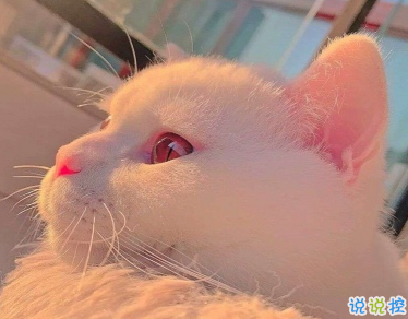 27條有趣搞笑沙雕句子 嘻嘻哈哈的搞笑心情說說2