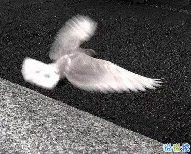 心寒的說(shuō)說(shuō)戳心失望 真心感到疲憊的說(shuō)說(shuō)配圖12