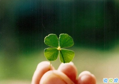 一個人的說說悲傷配圖 世界太暗人心太黑愛情太傻13