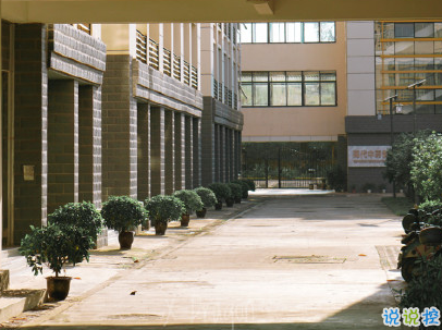 一個人的說說悲傷配圖 世界太暗人心太黑愛情太傻3