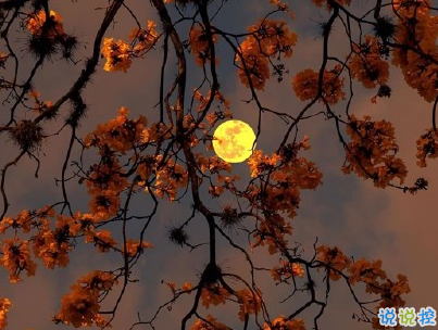 一個人的說說悲傷配圖 世界太暗人心太黑愛情太傻14