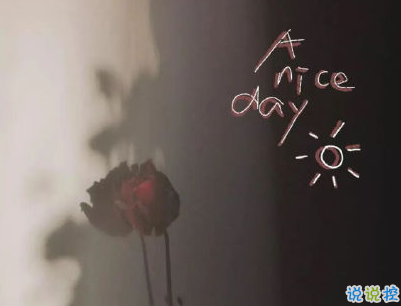 一個人的說說悲傷配圖 世界太暗人心太黑愛情太傻1