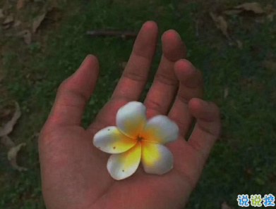 深夜孤獨很喪的心情短句 你是我患得患失的夢1