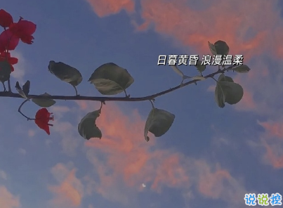 深情催淚的傷感說(shuō)說(shuō) 抖音精選傷感愛情句子2