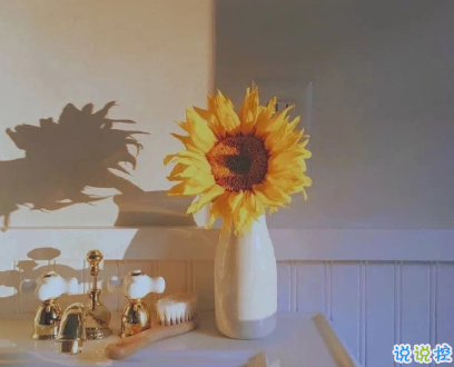 最暖心的情話短句 文字控情話句子醉人心扉1