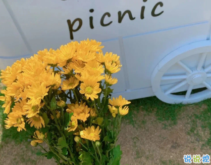 最暖心的情話短句 文字控情話句子醉人心扉2