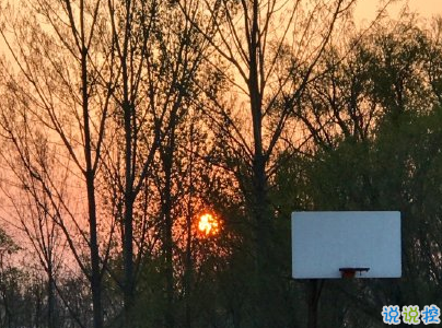 日出文案溫柔句子 看日出的微信說說配圖12