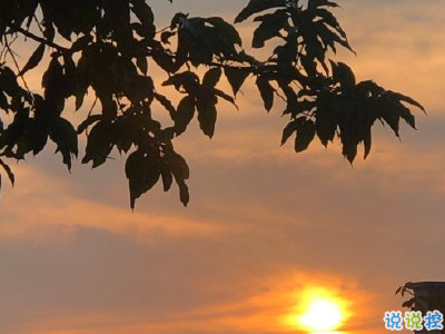 日出文案溫柔句子 看日出的微信說說配圖3