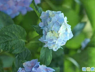 簡短唯美小清新文案 微信小清新說說帶圖片6