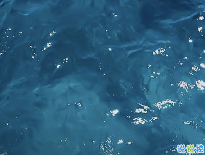 簡短唯美小清新文案 微信小清新說說帶圖片4