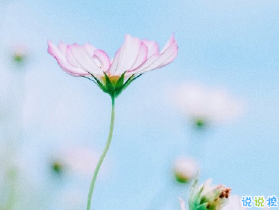 簡短唯美小清新文案 微信小清新說說帶圖片14