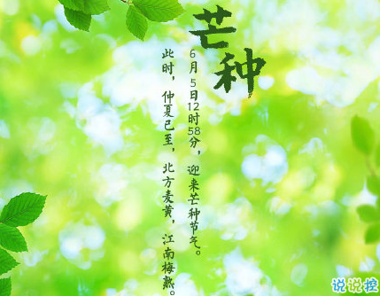 芒種朋友圈說(shuō)說(shuō)帶圖片 2020最新芒種祝福語(yǔ)說(shuō)說(shuō)9